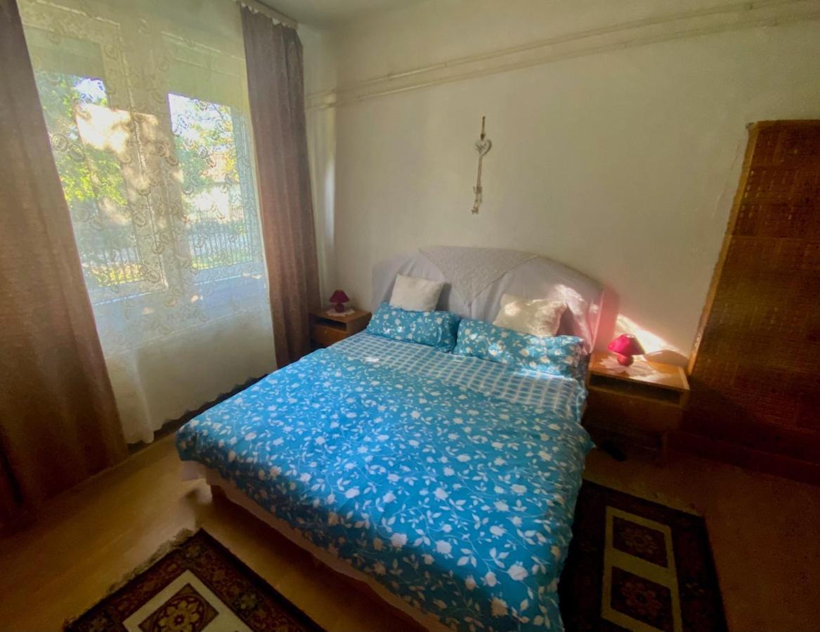 Grany'S Retro Guesthouse Near Budapest Airport เวคชีส์ ภายนอก รูปภาพ