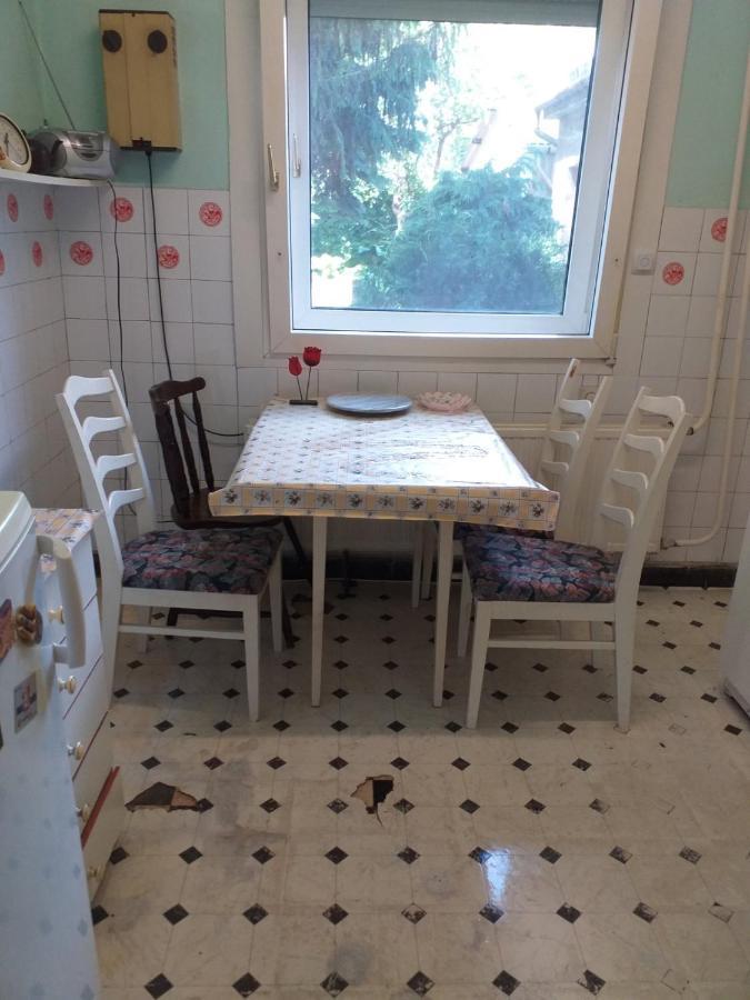 Grany'S Retro Guesthouse Near Budapest Airport เวคชีส์ ภายนอก รูปภาพ