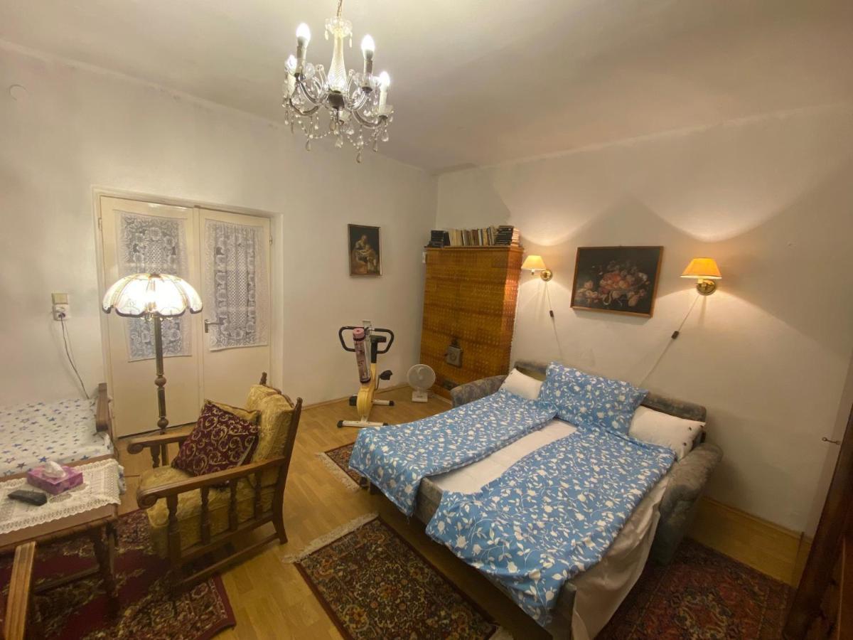 Grany'S Retro Guesthouse Near Budapest Airport เวคชีส์ ภายนอก รูปภาพ