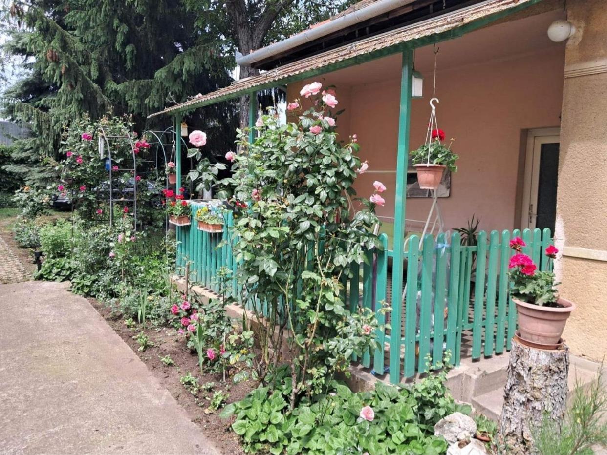 Grany'S Retro Guesthouse Near Budapest Airport เวคชีส์ ภายนอก รูปภาพ